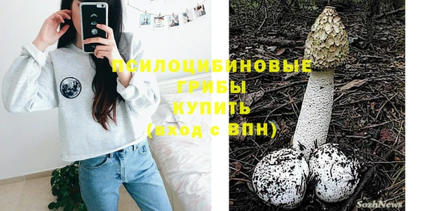 mix Богородицк