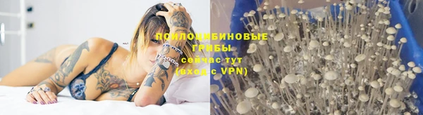 соль ск Богданович