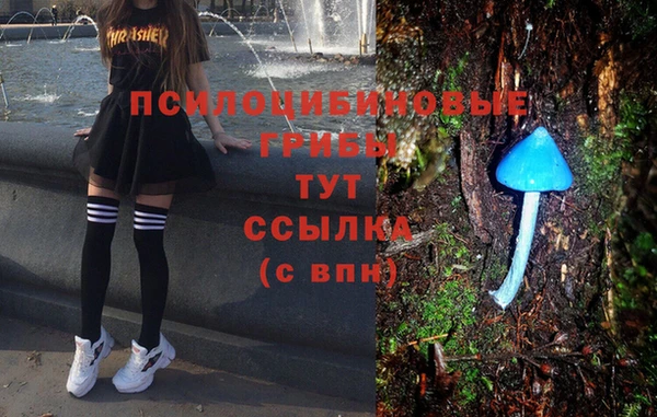 jwh Бугульма