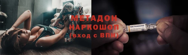 индика Бородино