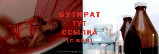 индика Бородино