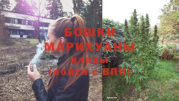 индика Бородино