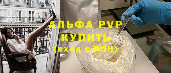 индика Бородино