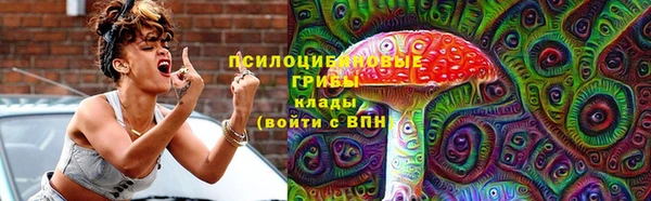 соль ск Богданович