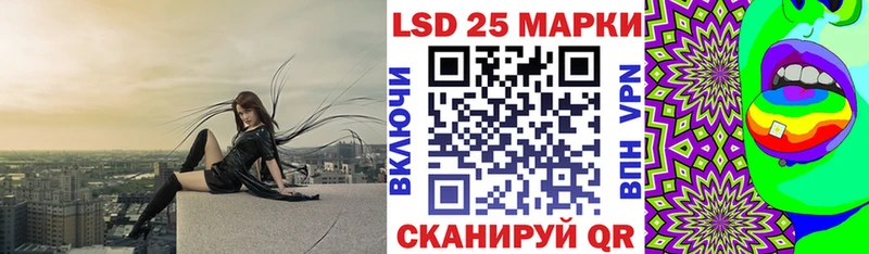 Наркотические марки 1,5мг  где купить наркоту  Володарск 